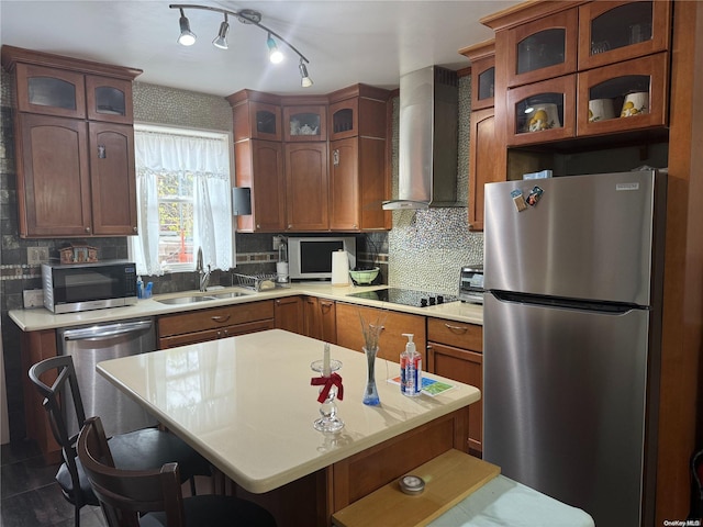 147 E 29th St, Brooklyn, NY 11226 - kitchen with appliances with stainless steel finishes, wall chimney exhaust hood, a sink, and light countertops