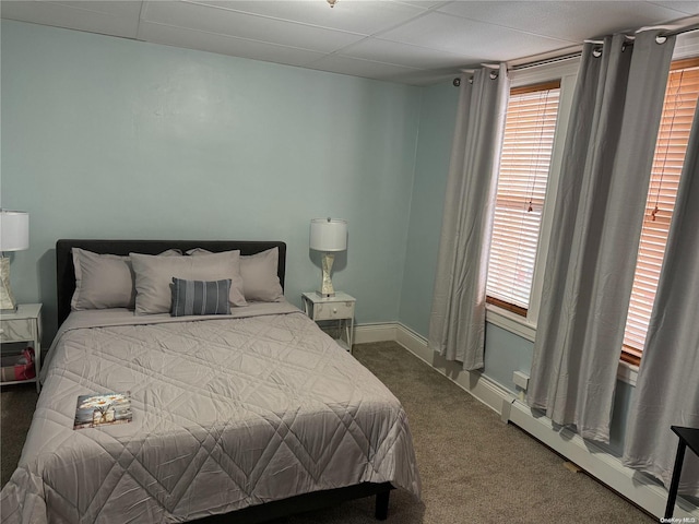 147 E 29th St, Brooklyn, NY 11226 - bedroom with carpet floors, multiple windows, baseboards, and baseboard heating