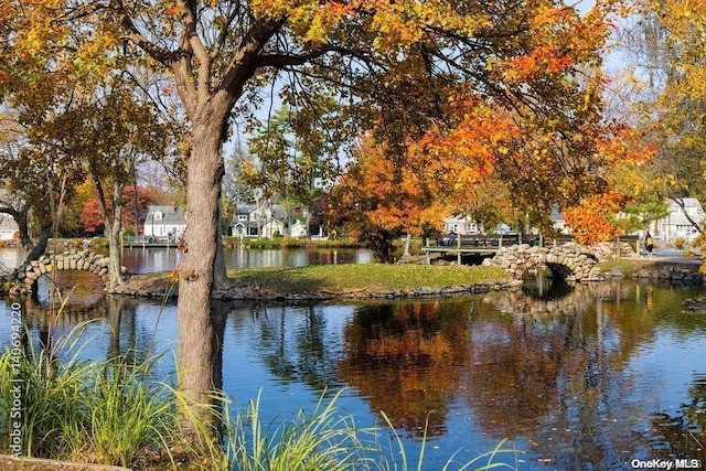 property view of water