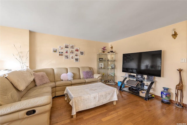 living room with wood-type flooring