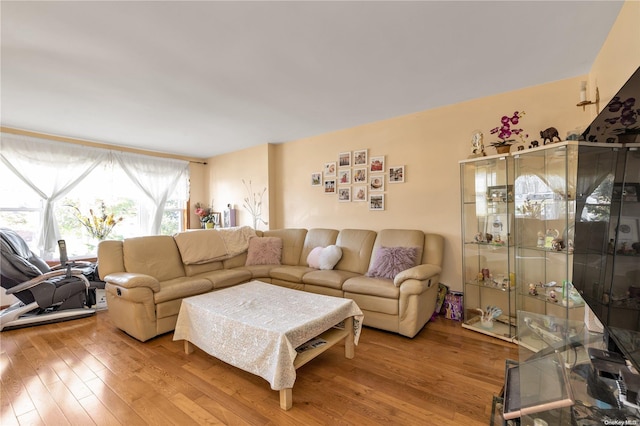 living room featuring wood-type flooring