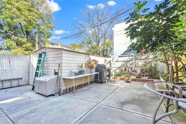 view of patio / terrace with area for grilling and a storage shed