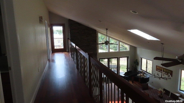 corridor with dark hardwood / wood-style flooring, a skylight, high vaulted ceiling, and a wealth of natural light