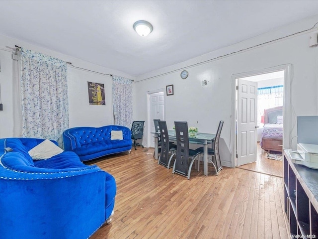 living room with wood-type flooring