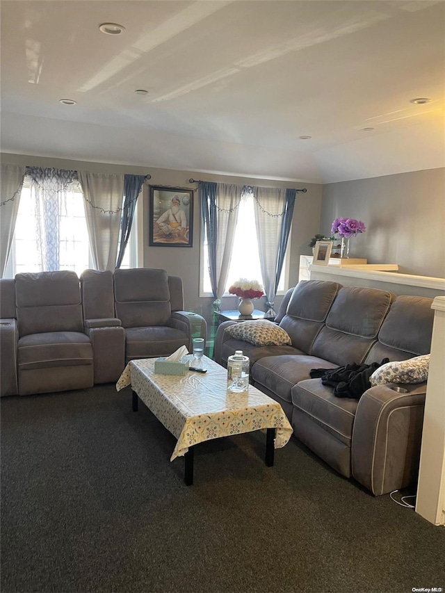 carpeted living room featuring a healthy amount of sunlight