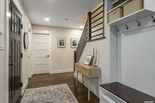 mudroom featuring dark hardwood / wood-style floors