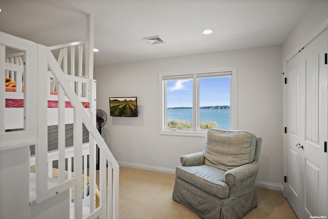 carpeted bedroom featuring a closet