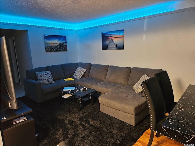 1258 E 56th St, Brooklyn, NY 11234 - living area featuring a textured ceiling and wood finished floors
