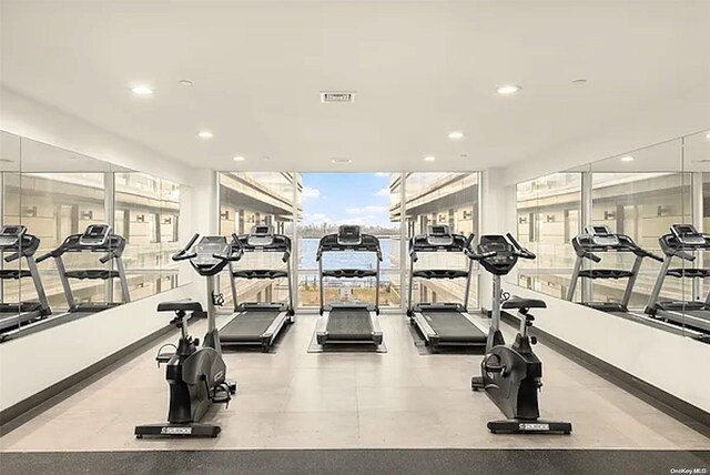 exercise room with a wealth of natural light