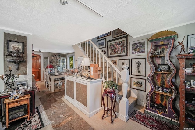 stairway with crown molding, carpet floors, and a textured ceiling