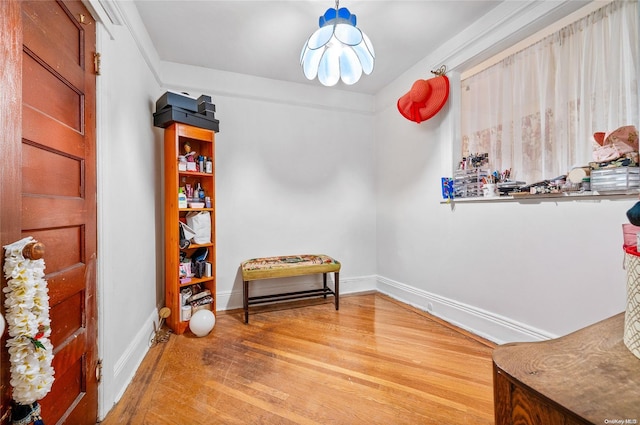 sitting room featuring hardwood / wood-style flooring