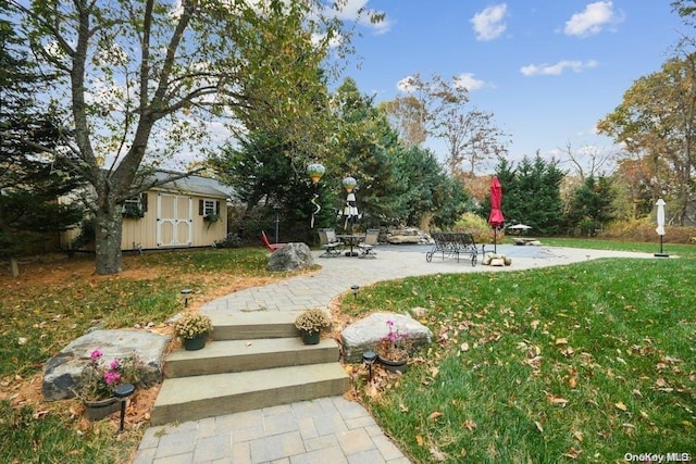 view of yard with a patio and a storage unit