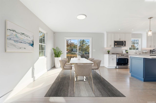 dining area featuring wood-type flooring