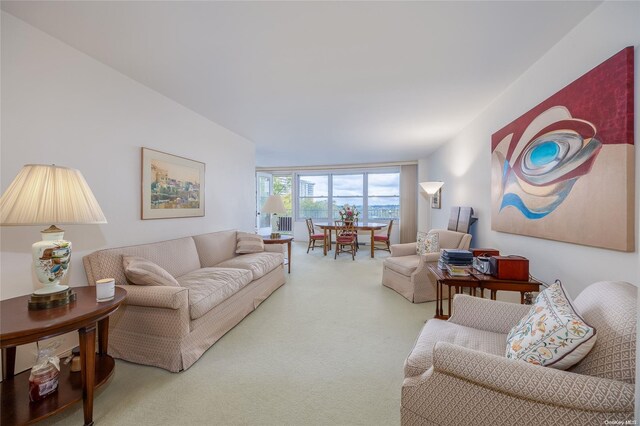 23-20 Bell Blvd Unit 5F, Bayside, NY 11360 - living area featuring carpet flooring