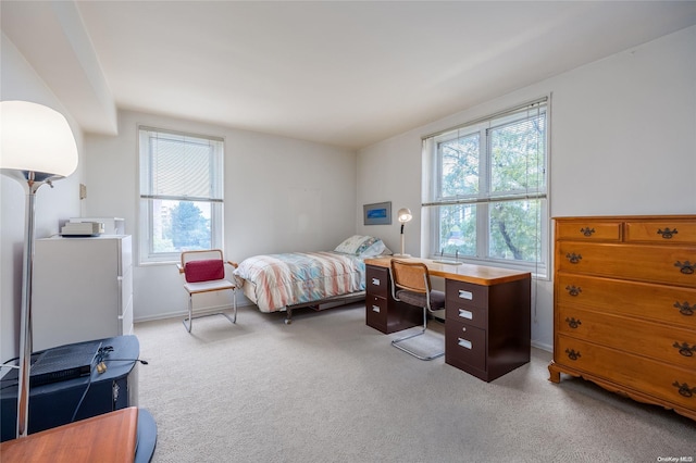 23-20 Bell Blvd Unit 5F, Bayside, NY 11360 - carpeted bedroom with multiple windows