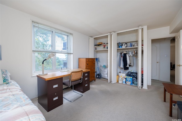 23-20 Bell Blvd Unit 5F, Bayside, NY 11360 - bedroom featuring a desk, light carpet, and a closet