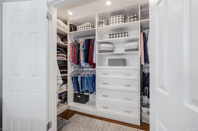 spacious closet featuring wood-type flooring