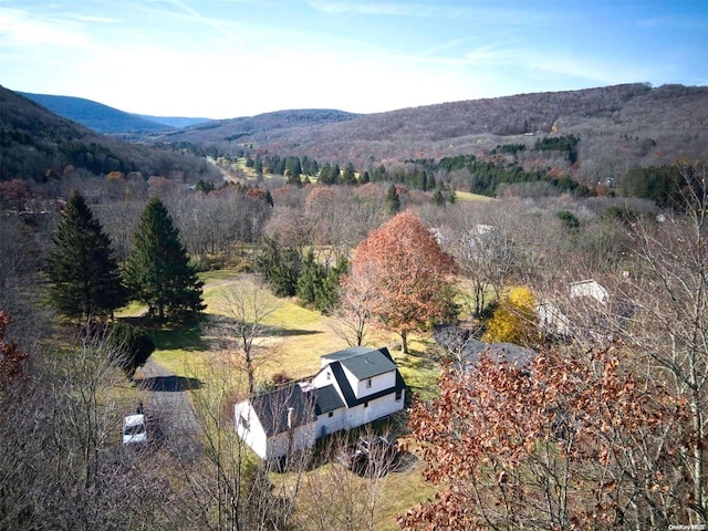 122 Batavia Heights Circle Rd, Margaretville, NY 12455 - photo 3