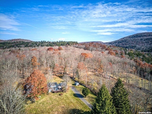 122 Batavia Heights Circle Rd, Margaretville, NY 12455 - photo 4