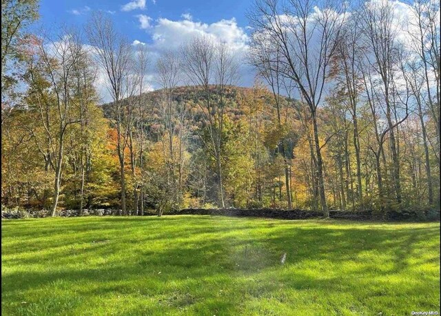 122 Batavia Heights Circle Rd, Margaretville, NY 12455 - photo 6