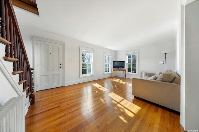 living room with light wood-type flooring and radiator