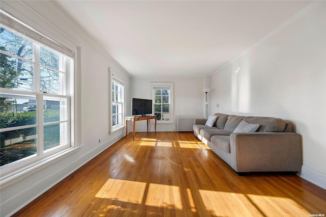 living room with light hardwood / wood-style flooring, radiator, a healthy amount of sunlight, and crown molding