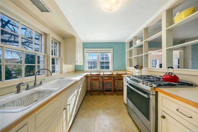 kitchen featuring gas stove, ornamental molding, and sink