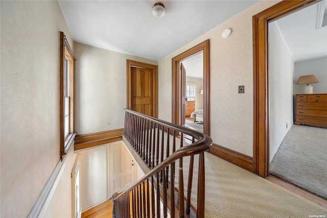 corridor with light colored carpet