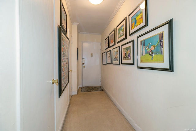 hall with crown molding and light colored carpet