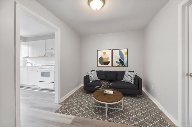 living room featuring light hardwood / wood-style floors