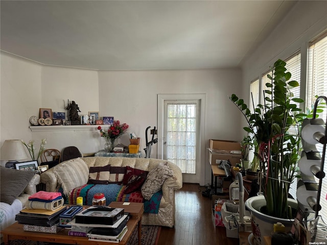 living room with dark hardwood / wood-style floors