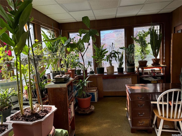 sunroom featuring a drop ceiling