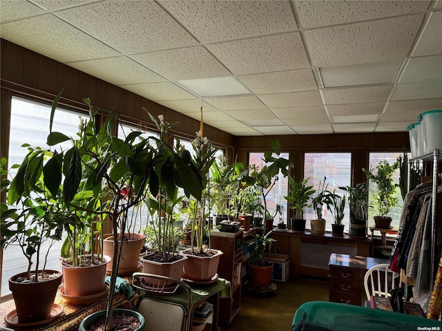 sunroom featuring plenty of natural light and a drop ceiling