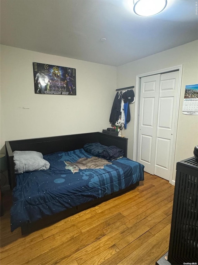 bedroom featuring a closet and wood-type flooring