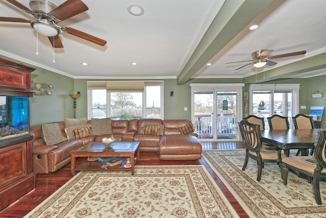 living room with hardwood / wood-style flooring, ceiling fan, and crown molding