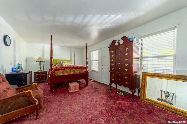 bedroom featuring carpet flooring and multiple windows