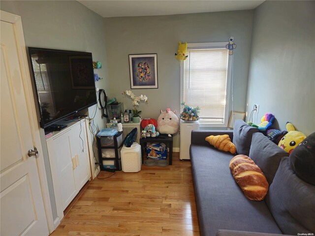 living room featuring light hardwood / wood-style flooring