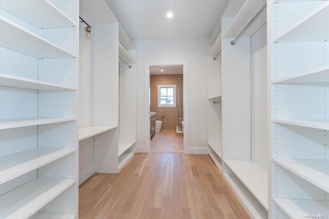 spacious closet featuring light hardwood / wood-style flooring