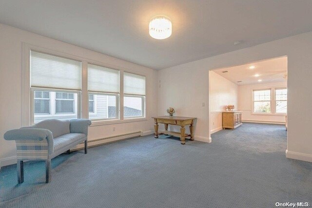 sitting room with carpet flooring