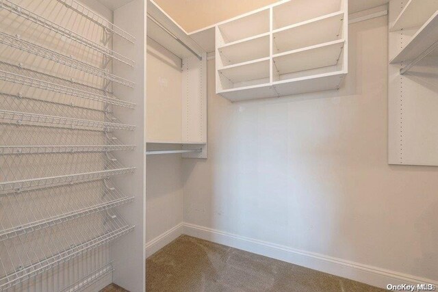 spacious closet with carpet flooring