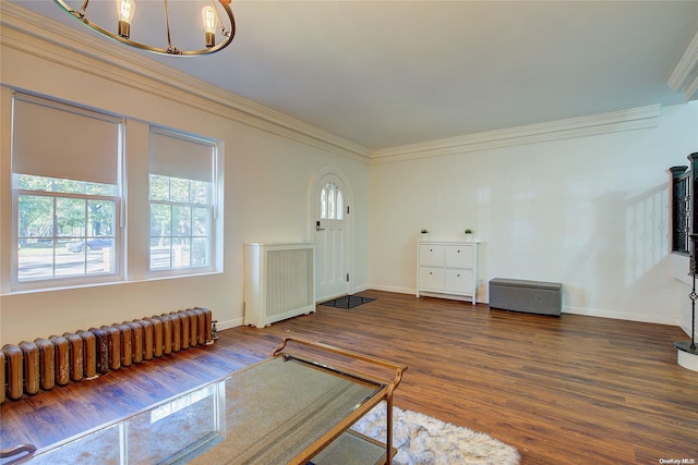 foyer entrance featuring radiator heating unit, dark hardwood / wood-style flooring, a notable chandelier, and ornamental molding