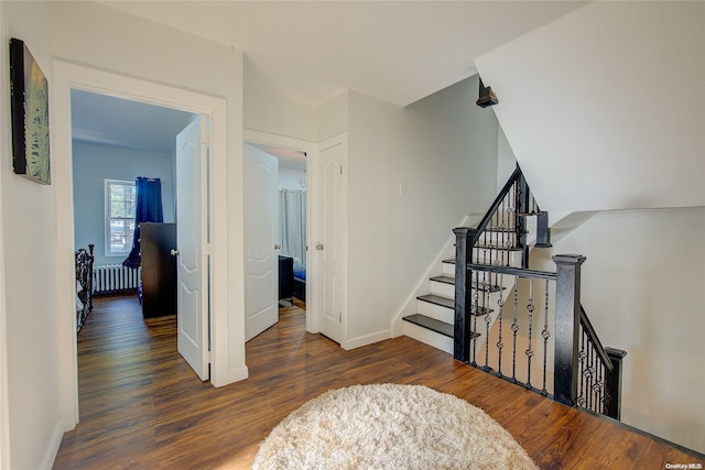 stairs featuring wood-type flooring and radiator