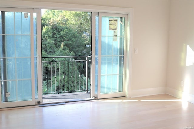 doorway to outside featuring wood-type flooring