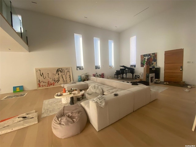 living room featuring light hardwood / wood-style flooring