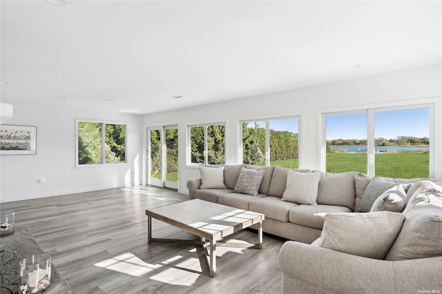 living room featuring light wood-type flooring and a water view