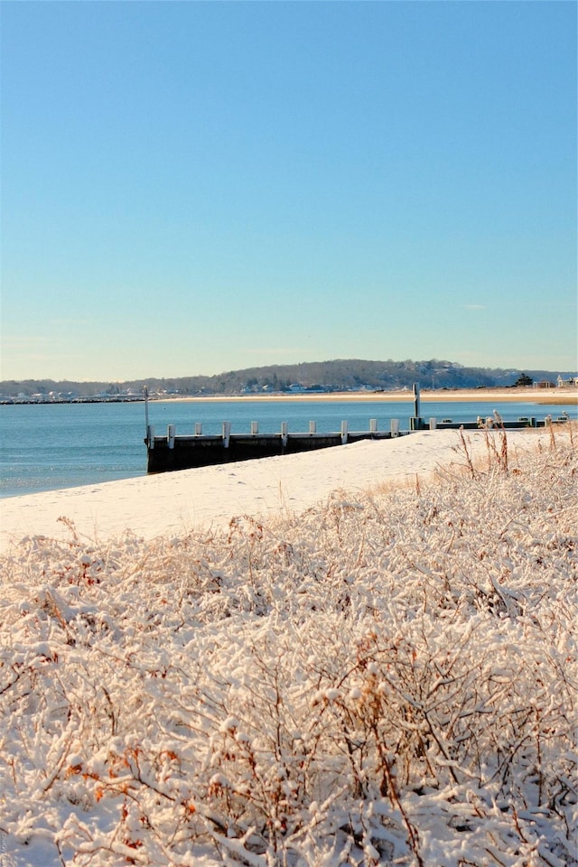 property view of water