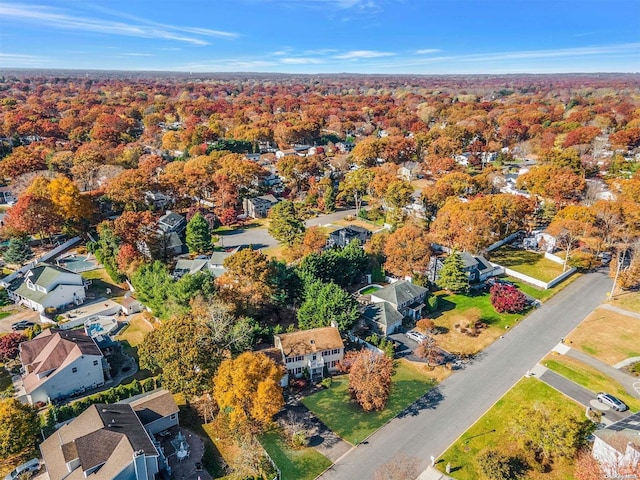 drone / aerial view