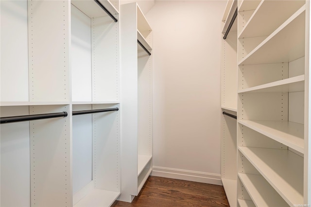 spacious closet featuring dark wood-type flooring