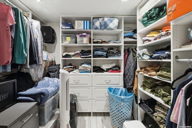 spacious closet featuring light hardwood / wood-style flooring