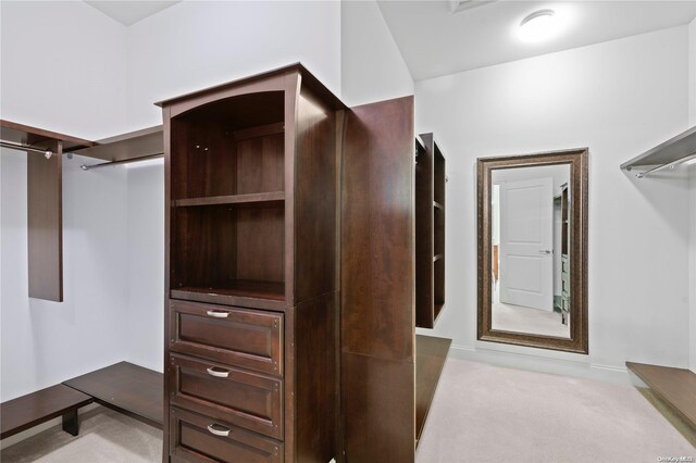 spacious closet with light carpet